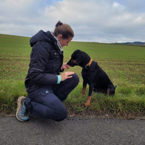 {{brizy_dc_image_alt imageSrc=